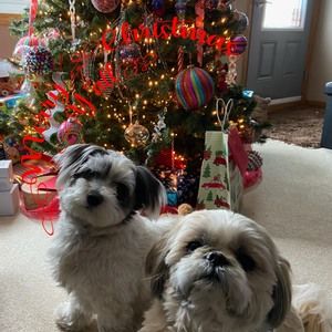 Meet your Posher, Jodi